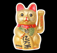 Cat Japan GIF by Omio
