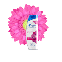 pgcom head and shoulders hsph head and shoulders ph pgph Sticker