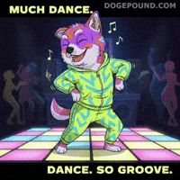Happy Dance Floor GIF by Doge Pound