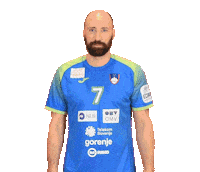 Handball Euro Sticker by Rokometna zveza