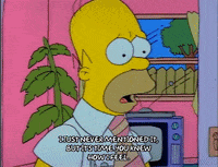 Season 1 GIF by The Simpsons