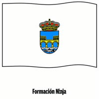 Puente Nuevo Flag GIF by Formación Ninja