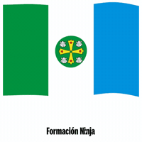 Flag Spain GIF by Formación Ninja