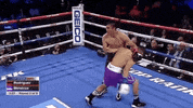 toprank boxing fighting espn fighters GIF