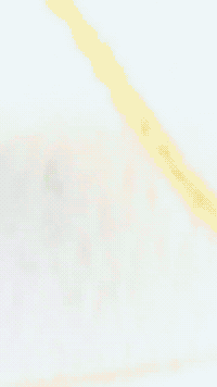 Vanilla Plushie GIF by Youtooz