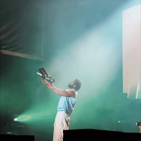 damso_gifs giphyupload concert festivals feu GIF