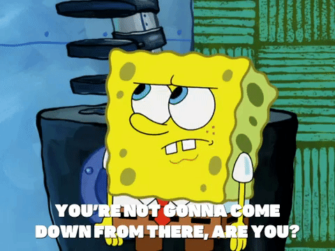 season 7 episode 21 GIF by SpongeBob SquarePants