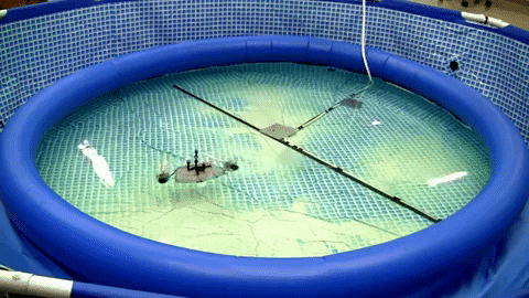wolfpackofone giphygifmaker GIF