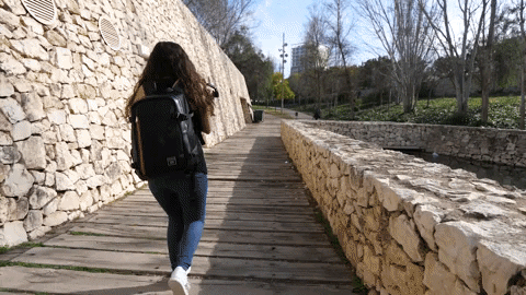 silviaillescas giphygifmaker dzoom gimbals GIF