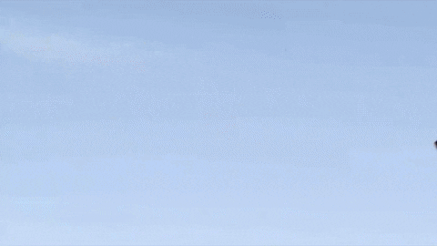 Sweet Spirit Trinidad GIF by Merge Records