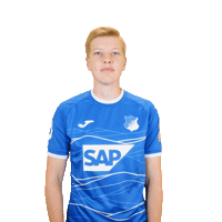 No Sticker by TSG Hoffenheim