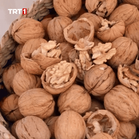 Hungry Brain GIF by TRT