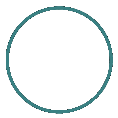 Circle Destaque Sticker