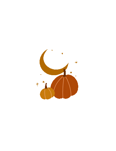 Stars Fall Sticker by Lauren Fox