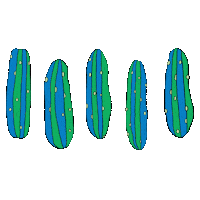 Summer Fruit Sticker by BAGGU