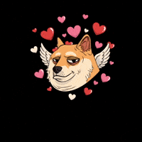 Valentines Day Love GIF by Doge Pound