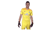 Jiri Pavlenka Bundesliga Sticker by SV Werder Bremen