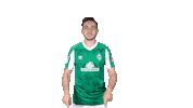 Kevin Möhwald Bundesliga Sticker by SV Werder Bremen