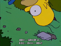 homer simpson episode 3 GIF