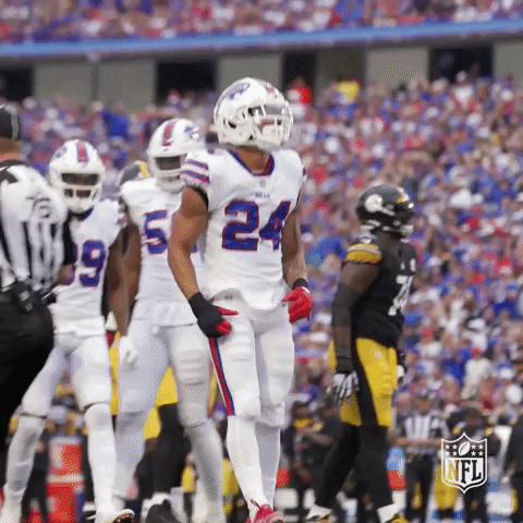 Happy Buffalo Bills GIF by NFL