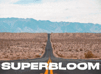 LaCasadelZorro zorro superbloom anzaborrego lacasadelzorro GIF