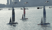 Racing GIF by SailGP