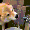 GIF by Giphy QA