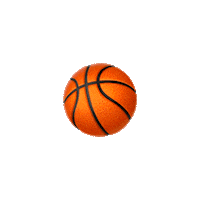 Work Work Work Sticker by Dr. Dish Basketball