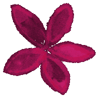 Hawaii Plumeria Sticker