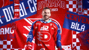 Robert GIF by HC Dynamo Pardubice