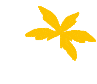 Porto De Galinhas Summer Sticker by Hotel Ocaporã