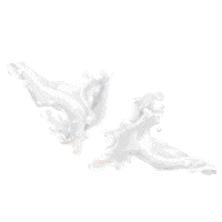 Dl Sticker by Dutch Lady