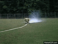 post men GIF