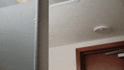 The Home Team Halloween GIF by Thriller Records