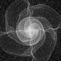Black And White Loop GIF by xponentialdesign