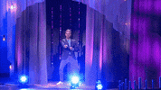 Peter Van De Veire GIF by VIER