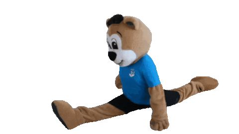 Mascot Gymnastics Sticker by Sportclub Riesa