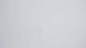 art school animation GIF by The New School