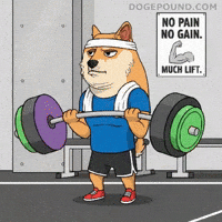 Shiba Inu Fitness GIF by Doge Pound