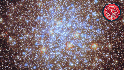 Deep Space Stars GIF by ESA/Hubble Space Telescope