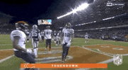 Regular Season Football GIF by NFL