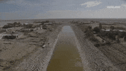 GIF by ABANDONED