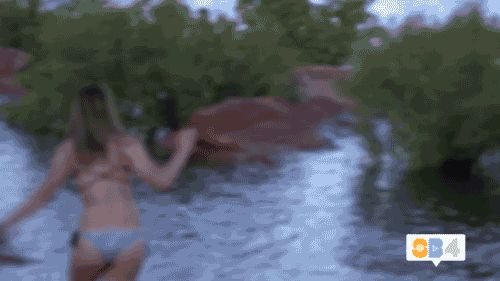 season 4 swimming GIF by @SummerBreak