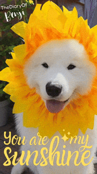 Sun Loving GIF