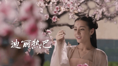 San Sheng San Shi Shi Li Tao Hua Di Lireba GIF