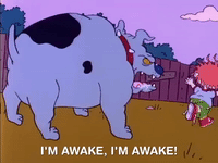 nicksplat rugrats GIF