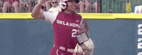 World Series Softball GIF by NCAA Championships