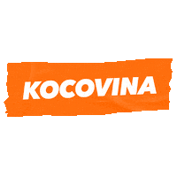 ToBodlo bodlo antihangover tobodlo kocoivna Sticker