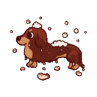 Sausage Dog Sticker