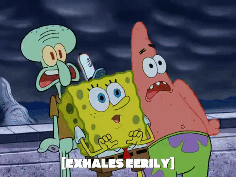 season 6 GIF by SpongeBob SquarePants